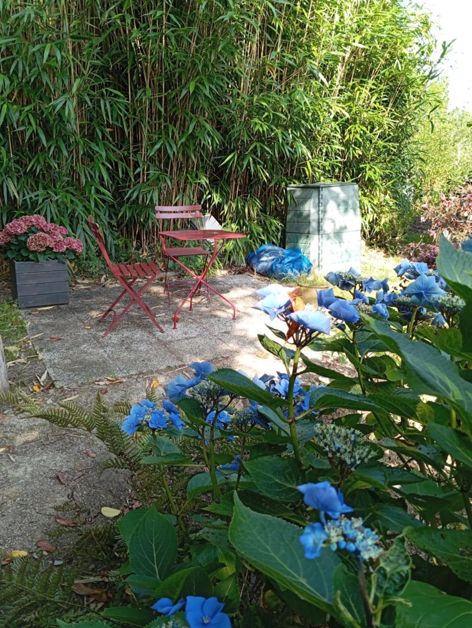 Ker Adsav O'Naturel Saint-Pierre-de-Plesguen Ngoại thất bức ảnh